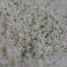 Kief Dry Sift