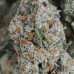 454g or 1Lb of Animal Cookies Indoor bag