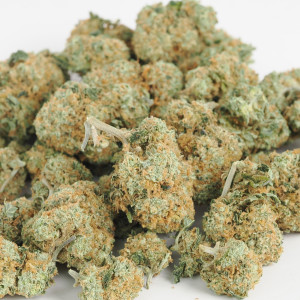 454g or 1Lb of Pink Master Yoda Indoor bag