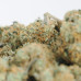 454g or 1Lb of Pink Master Yoda Indoor bag