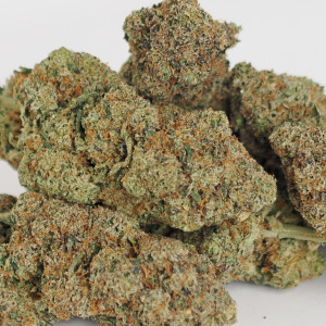 454g or 1Lb  Donny Burger - Huge Purple Buds