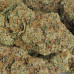 454g or 1Lb  Donny Burger - Huge Purple Buds
