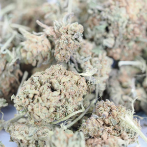 454g or 1Lb of Blueberry Kush bag 3lb minimum order