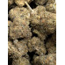 454g or 1Lb of GMO Garlic cookies