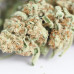 454g or 1Lb of Sugar Daddy bag (buds are hard as a rock)
