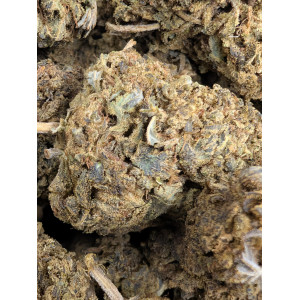 454g or 1Lb of Blue Haze bag - 5lb minimum order