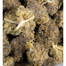 454g or 1Lb of Blueberry Kush bag well matured 2lb minimum order 
