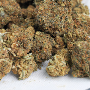 454g or 1Lb of Blue Haze bag 7lb minimum order (full batch) only 1 order available