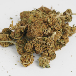 454g or 1Lb of Blue Haze bag - 5lb minimum order