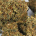 454g or 1Lb of Blueberry Kush bag well matured 2lb minimum order 