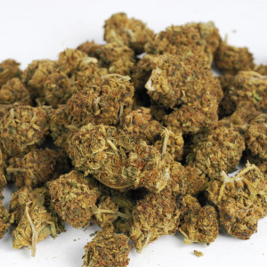 454g or 1Lb of Blueberry Kush bag well matured 2lb minimum order 