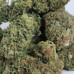 454g or 1Lb of Blackberry Kush bag