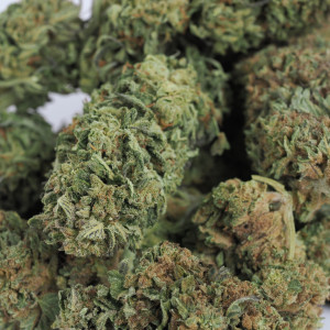 454g or 1Lb of Blackberry Kush bag