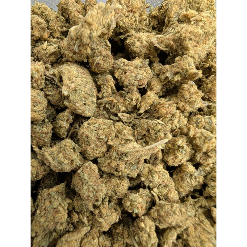 454g or 1Lb of Sour Diesel Indoor bag (preserved) 454g or 1Lb of Sour Diesel Indoor bag (preserved)