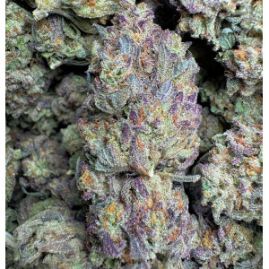 454g or 1Lb of Purple Roze Organic Boutique Grown Indoor Bag