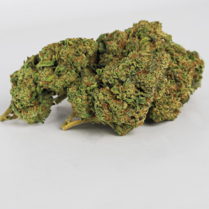 454g or 1Lb  Hollywood Indoor