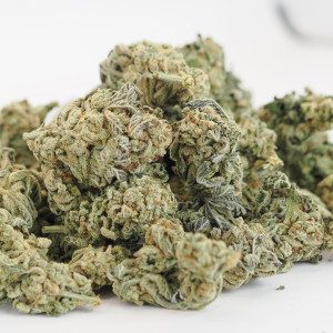 454g or 1Lb of Oreoz Indoor bag